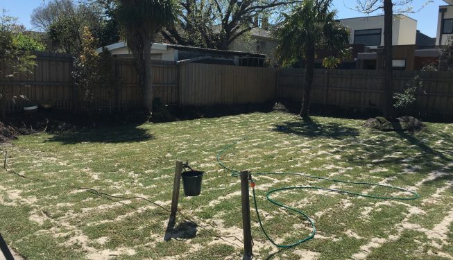 Landscape Design And Build